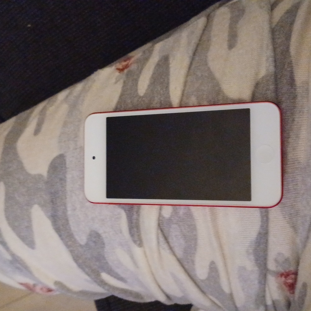 Apple ipad